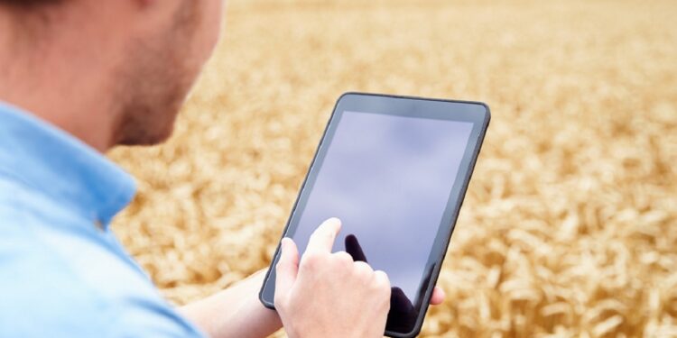 Tájékoztatás az „Egyéni gazdaságok decemberi összeírása 2025” adatgyűjtésről