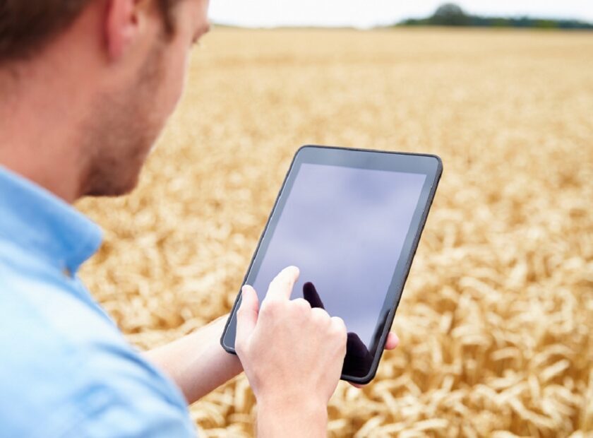 Digitalis_osszeiras_ksh