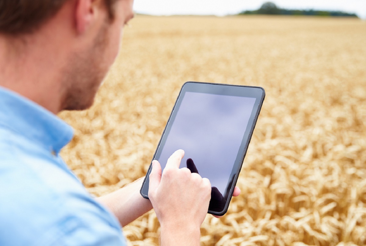 Tájékoztatás az „Egyéni gazdaságok decemberi összeírása 2025” adatgyűjtésről