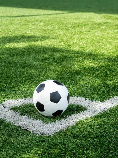 ⚽ Újkígyósi Galiba Kupa – ismét gurul a labda! 🏆