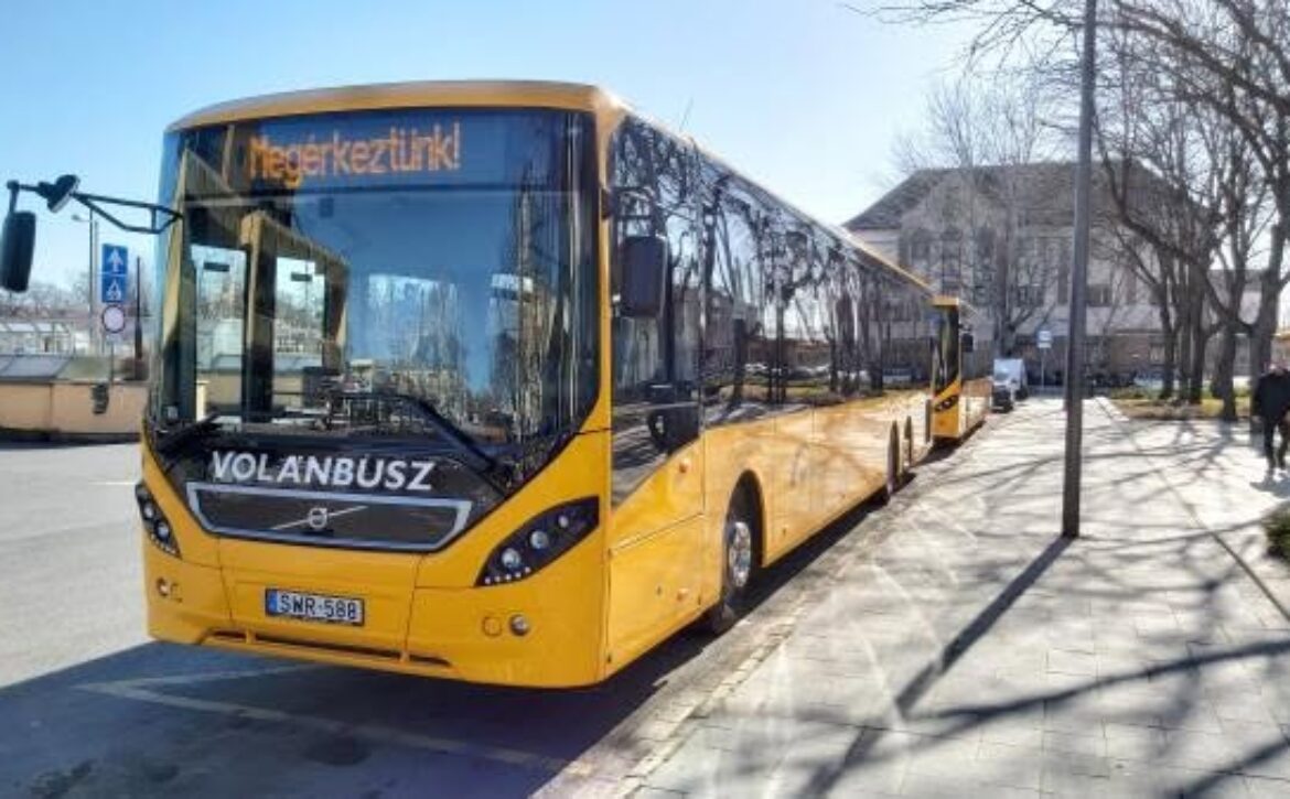 busz